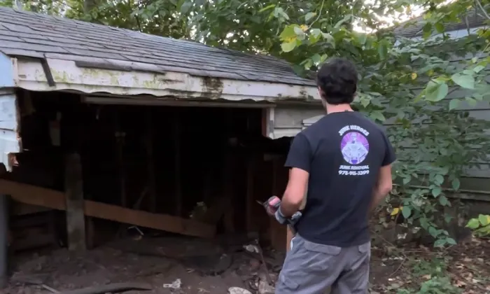 Light demo and hauling