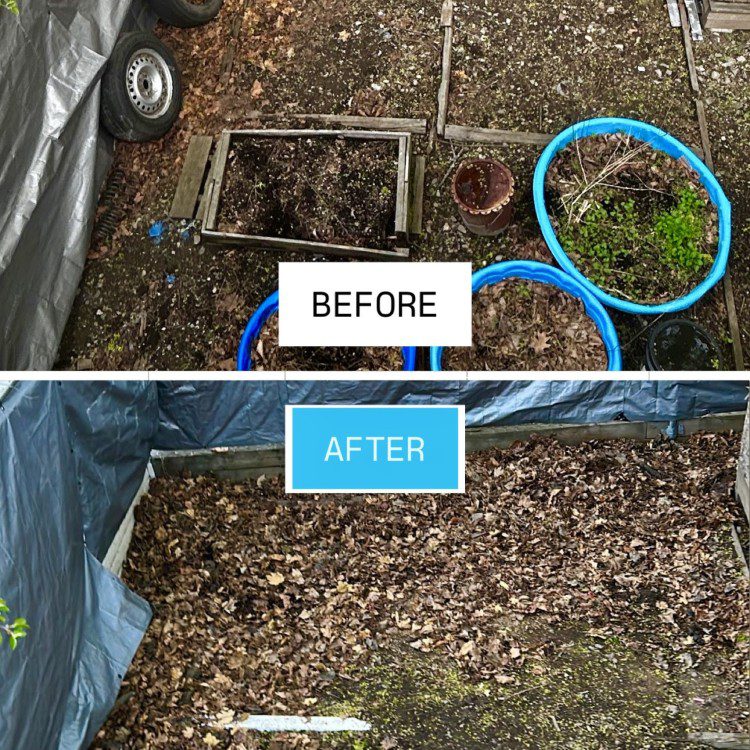 Full Service Cleanout in Swampscott, MA